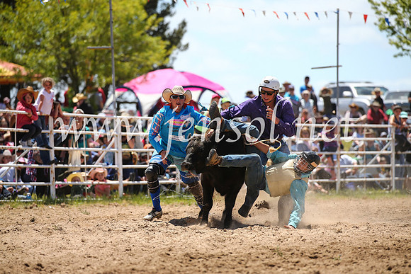 BungendoreRodeo2016-2060