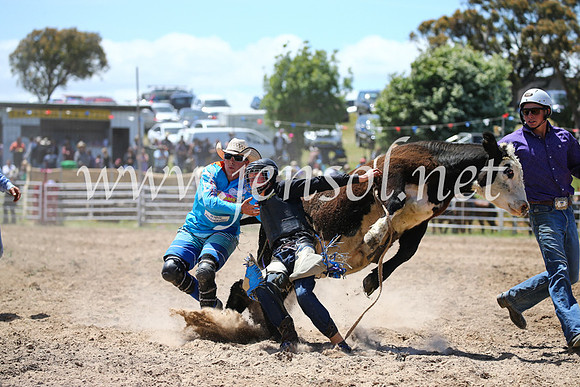 BungendoreRodeo2016-2244