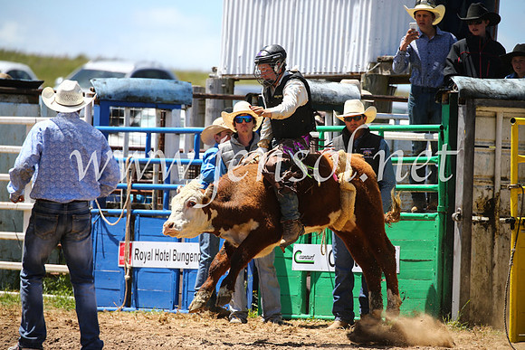 BungendoreRodeo2016-1959
