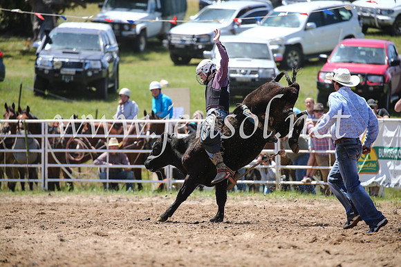BungendoreRodeo2016-1908