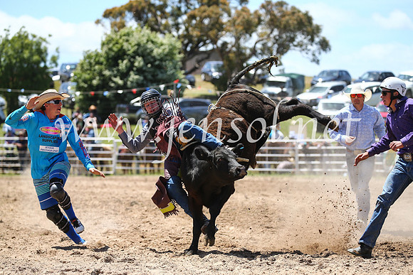 BungendoreRodeo2016-2150