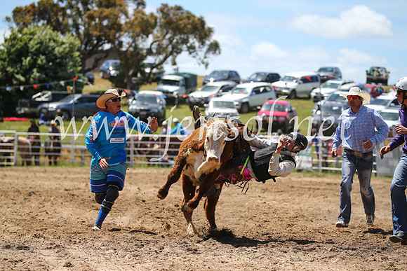 BungendoreRodeo2016-2001