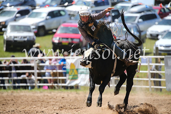 BungendoreRodeo2016-2183