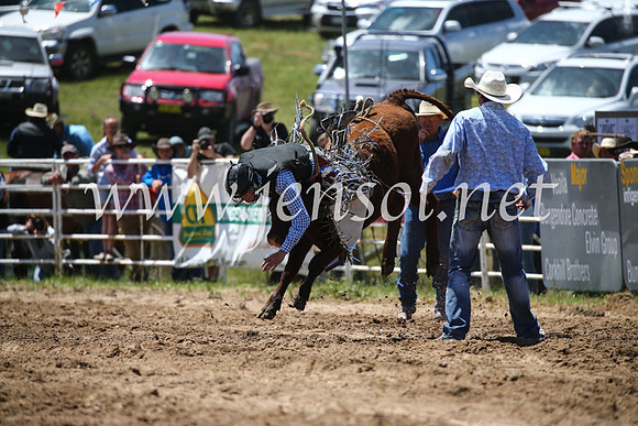BungendoreRodeo2016-1864