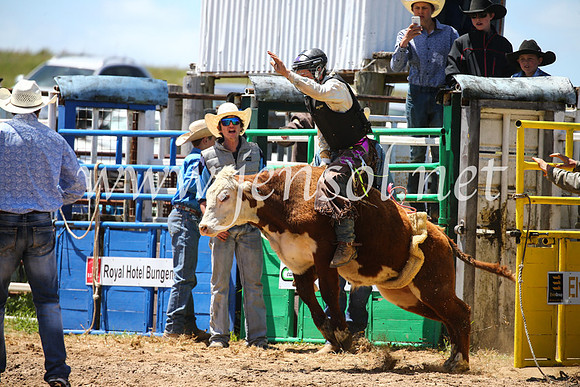 BungendoreRodeo2016-1955