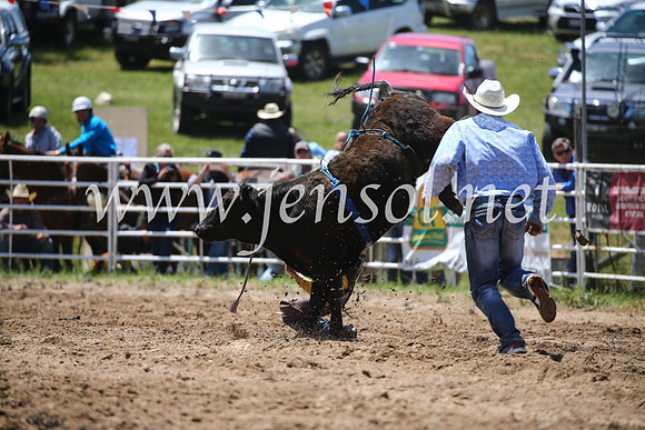 BungendoreRodeo2016-1940