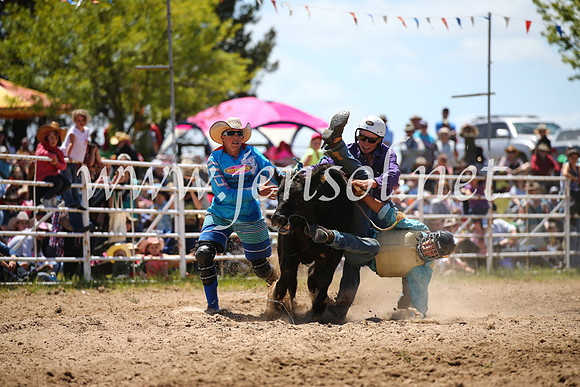 BungendoreRodeo2016-2061