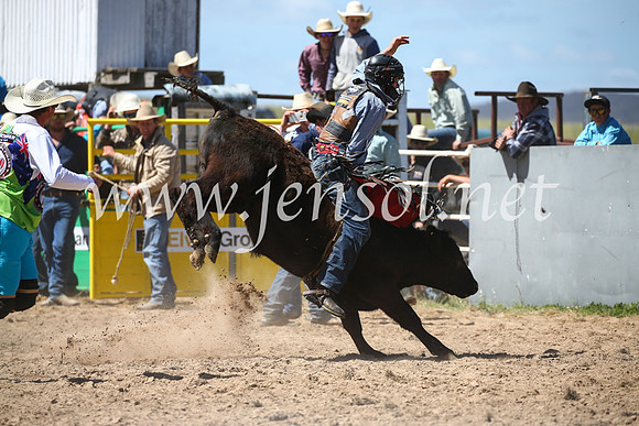 BungendoreRodeo2016-2859
