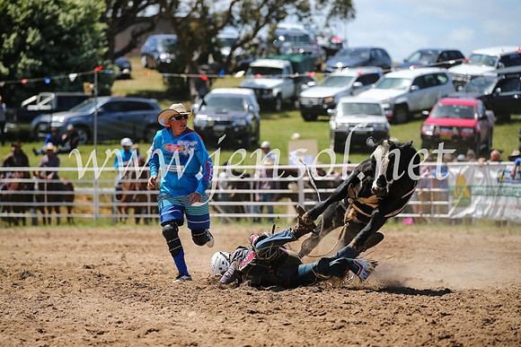 BungendoreRodeo2016-2192