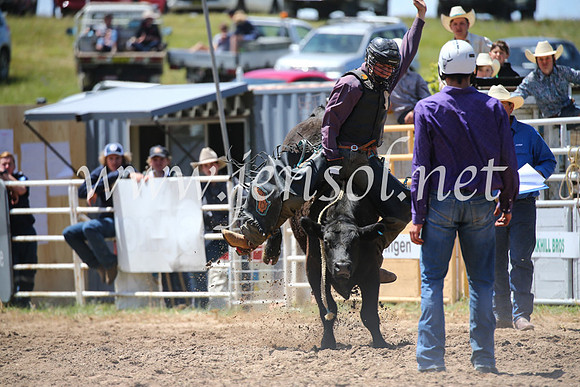 BungendoreRodeo2016-2257