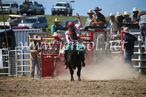 BungendoreRodeo2016-2872