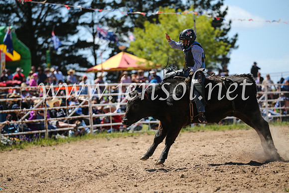 BungendoreRodeo2016-2792
