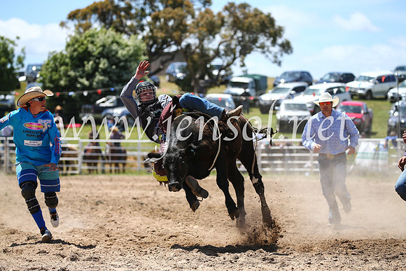 BungendoreRodeo2016-2152