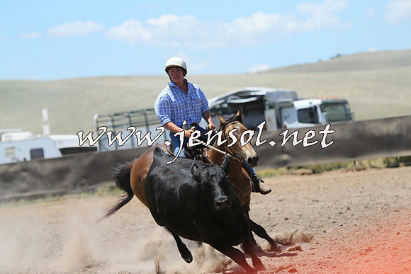 AdaminabyCampdraft2014_0142