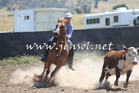 AdaminabyCampdraft2014_0861