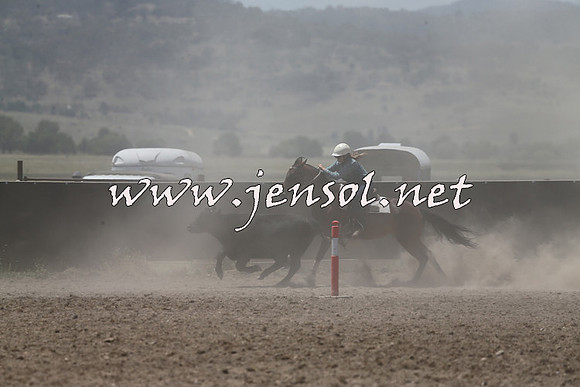 AdaminabyCampdraft2014_0210