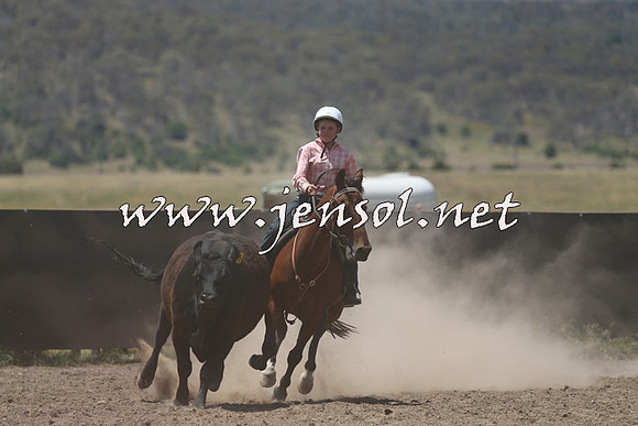 AdaminabyCampdraft2014_0478