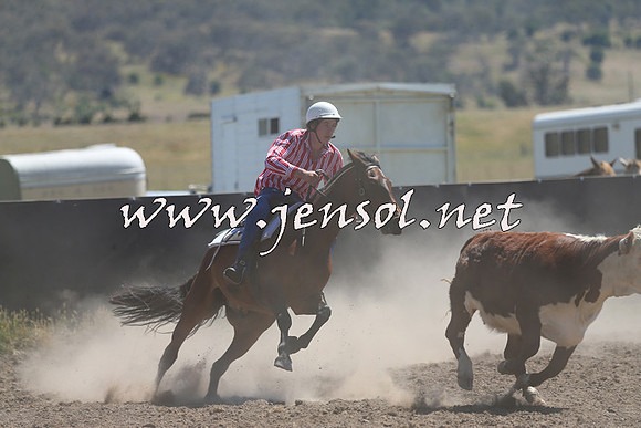 AdaminabyCampdraft2014_0914