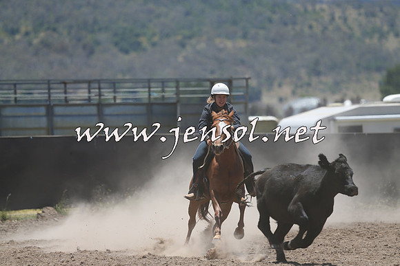 AdaminabyCampdraft2014_0147
