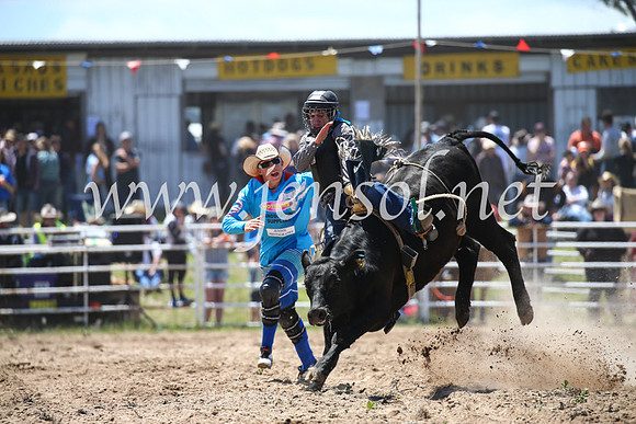 BungendoreRodeo2016-2216