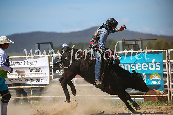 BungendoreRodeo2016-2862