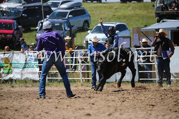 BungendoreRodeo2016-2770