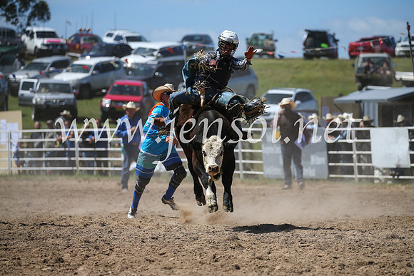 BungendoreRodeo2016-2928