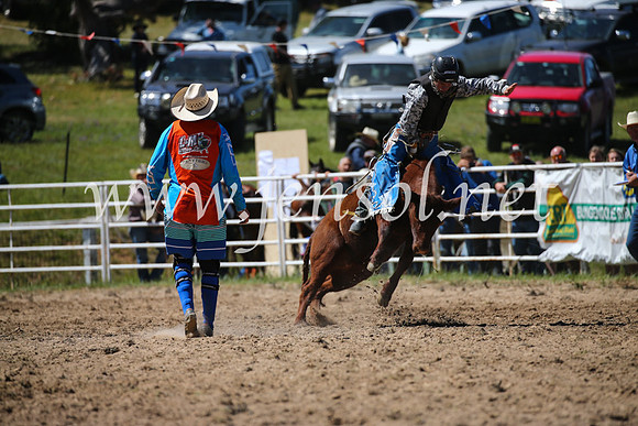 BungendoreRodeo2016-2802