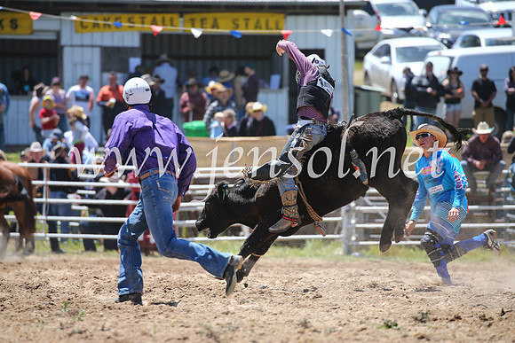 BungendoreRodeo2016-1926