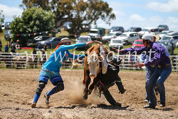 BungendoreRodeo2016-2005