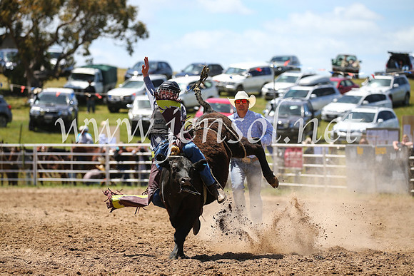 BungendoreRodeo2016-2143