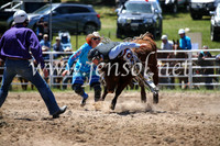 BungendoreRodeo2016-1877