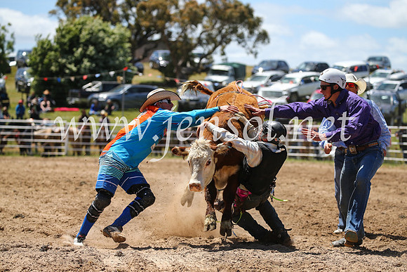 BungendoreRodeo2016-2006