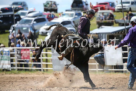BungendoreRodeo2016-2264