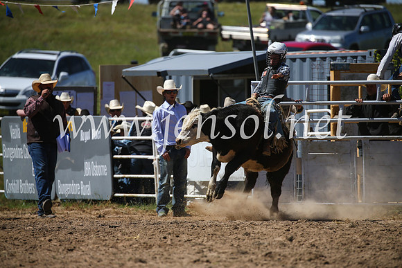 BungendoreRodeo2016-2897