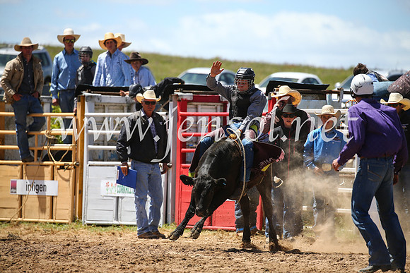 BungendoreRodeo2016-2111
