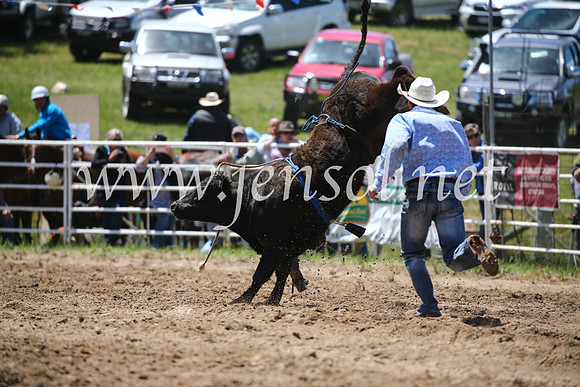 BungendoreRodeo2016-1939