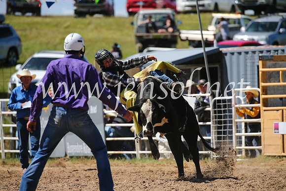BungendoreRodeo2016-2822