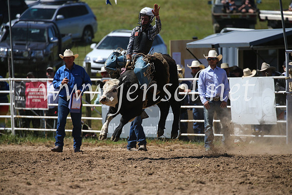 BungendoreRodeo2016-2904