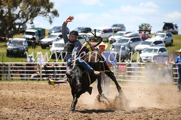 BungendoreRodeo2016-2144
