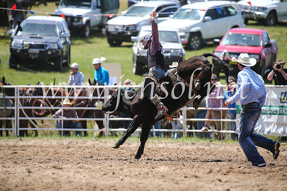 BungendoreRodeo2016-1907