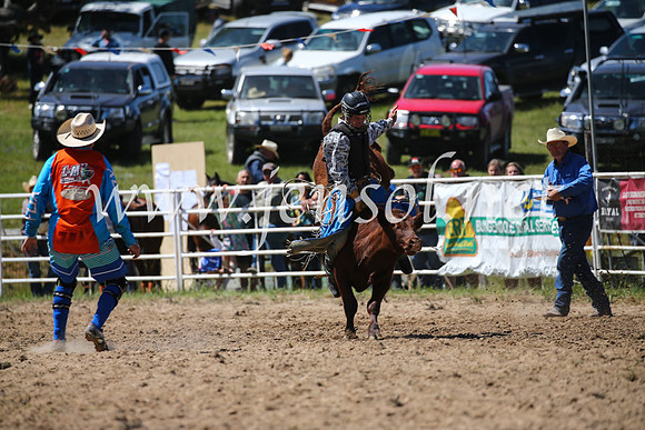BungendoreRodeo2016-2798
