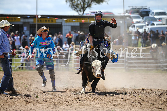 BungendoreRodeo2016-2241