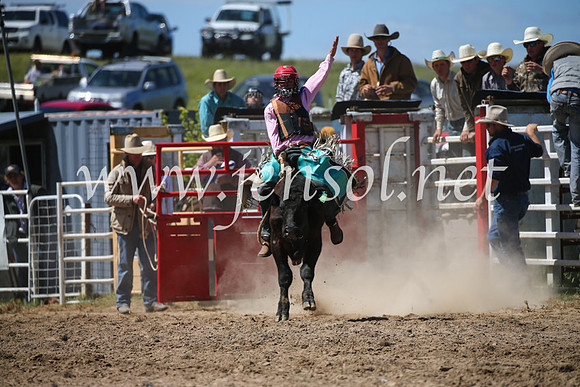BungendoreRodeo2016-2873