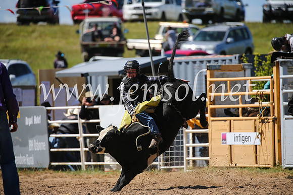 BungendoreRodeo2016-2818