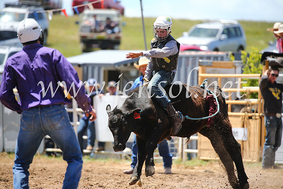 BungendoreRodeo2016-1948