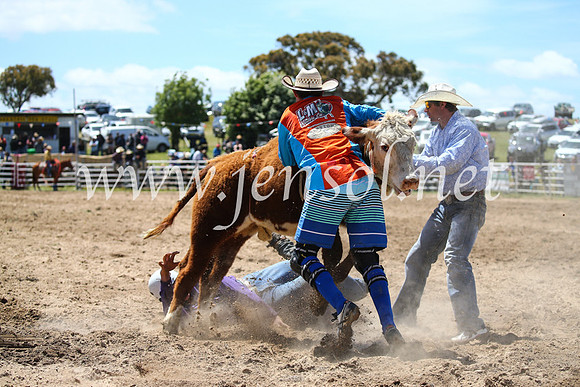 BungendoreRodeo2016-2021