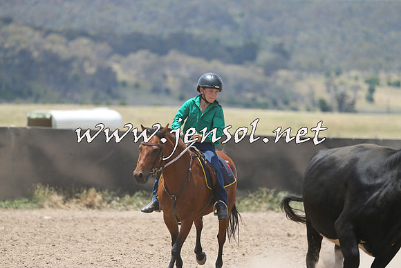 AdaminabyCampdraft2014_0388