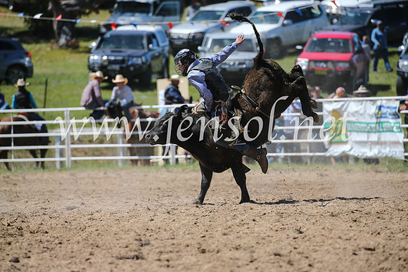 BungendoreRodeo2016-2847