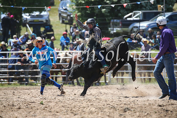 BungendoreRodeo2016-2202